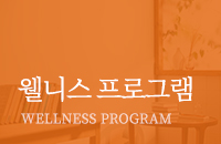 웰니스 프로그램